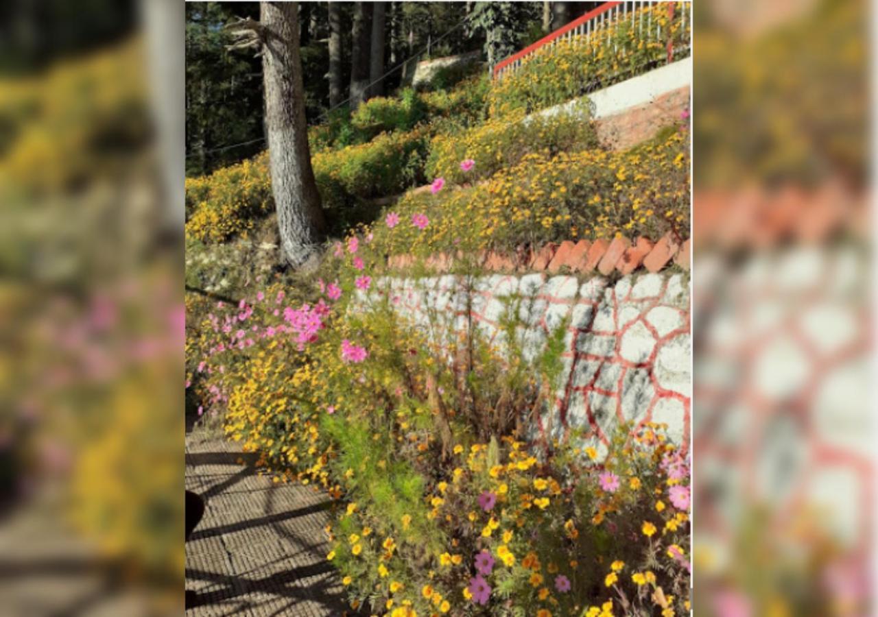 Hotel Country Resort Khajjiar Luaran gambar